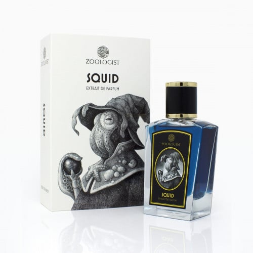 عينة squid Zoologist