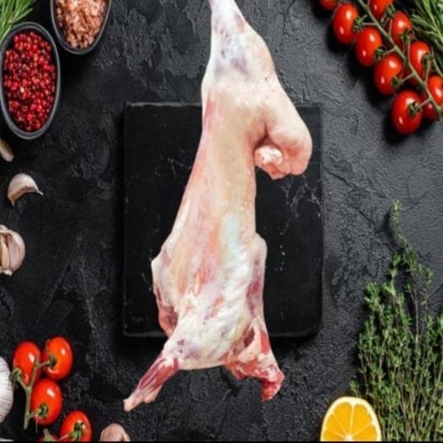 خروف اضحيه نعيمي وسط