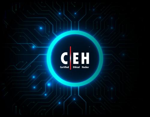 Ethical hacking course + test voucher