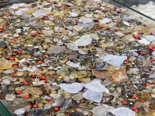 بخور نفاس حجم العلبه 750