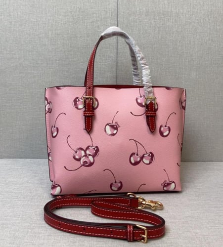 ( كوتش تشيري كرز )coach