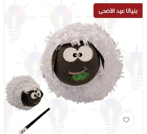 بنياتا خروف (ابيض-غير معبأ)