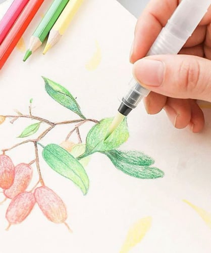 طقم فرشاة مائية