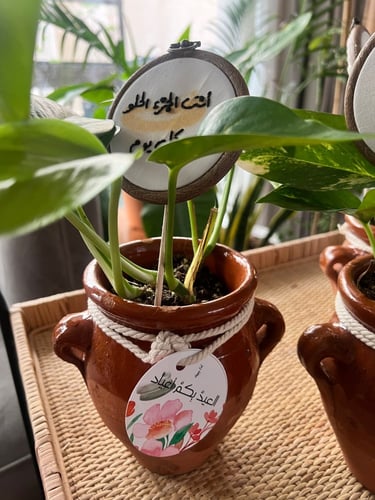 نبتة مع تغريسة مطرزة