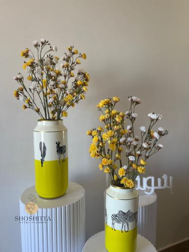 فازتين سيراميك