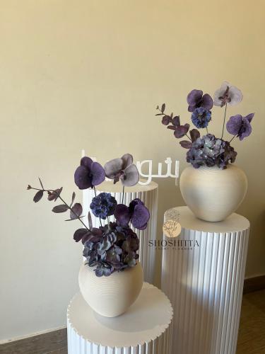 فازتين حجرية