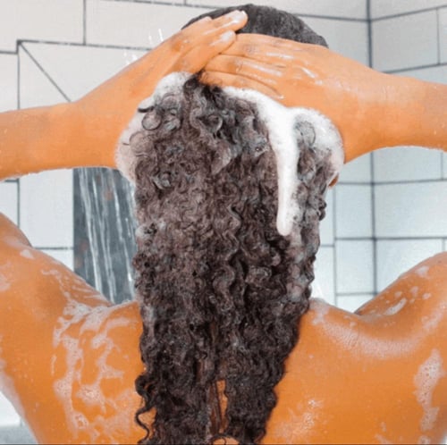 شامبو الترطيب الحريري الخالص من باونس كيرل