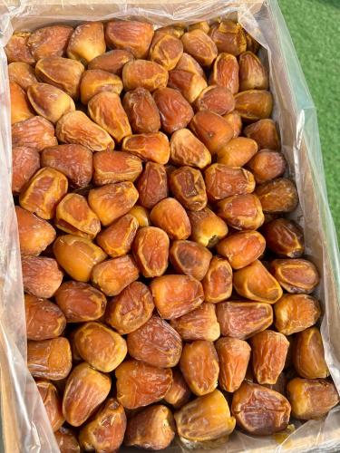 تمر سكري جالكسي ملكي