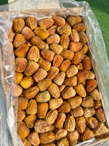 تمر سكري مفتل درجة (1)