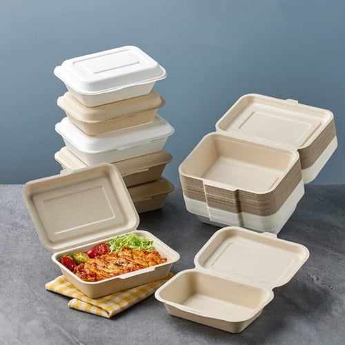 علب وجبات قصب السكر