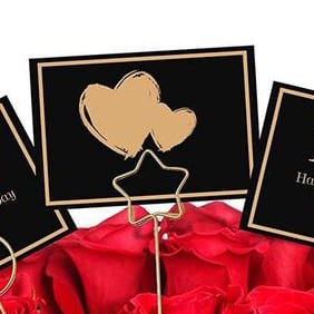 حامل كروت استيل بشكل نجمه