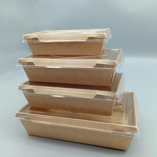 حافظة طعام 20*15*5 ورقية