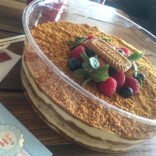 علب بلاستيك دائرية كبيرة مقاس 25 * 7.5 سم