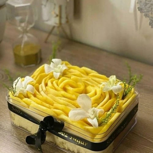 علب اكريلك بغطاء منفصل بالجملة