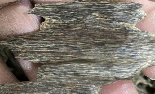 هندي موري وهندي سلا سوبر مرتفع ودبل