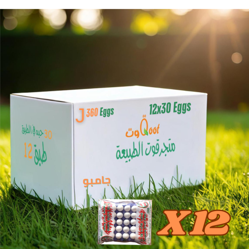 كرتون بيض 12X30 طبق مقاس جامبو J