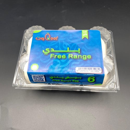 بيض بلدي 6 حبات