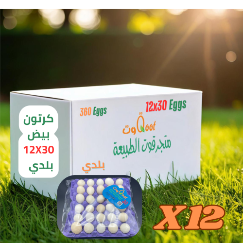 كرتون بيض بلدي 12X30 طبق