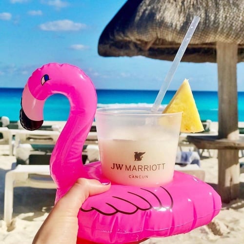 عوامة الفلامنجو للأكواب (قطعتين)