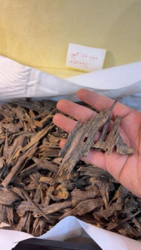 ميني زورا كنج