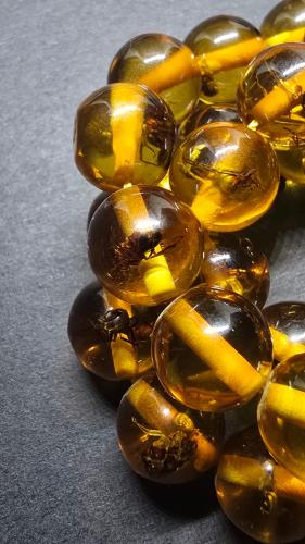 سبحة كبي كهرمان بالحشرات