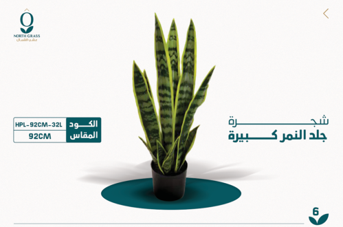 شجرة جلد النمر كبيرة - 92 سم