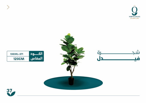 شجرة فيدل 120 سم