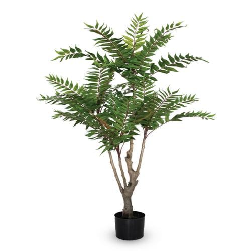 شجرة ايلانثوس