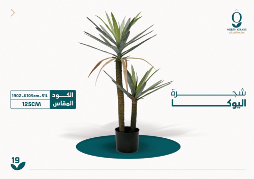 شجرة اليوكا 125 سم