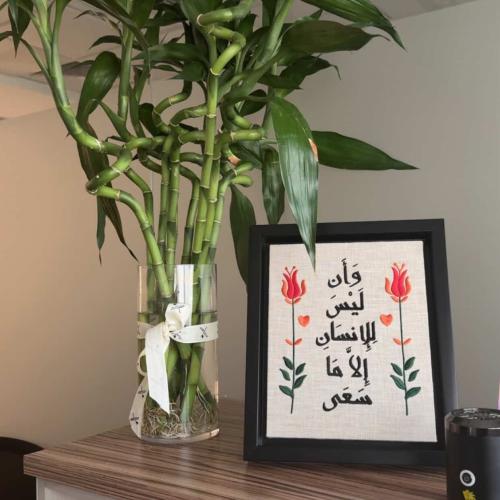 وان ليس للإنسان إلا ماسعى ٢٥*٣٠