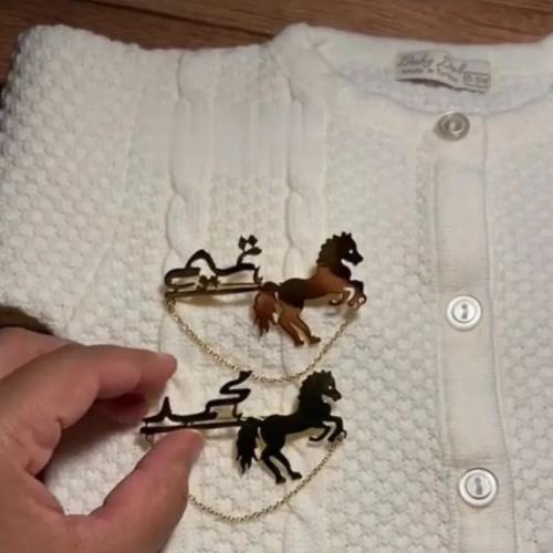 بروش اطفال بالاسم مع الحصان