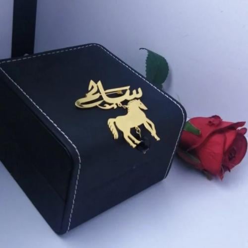 بروش اطفال بالاسم مع الحصان