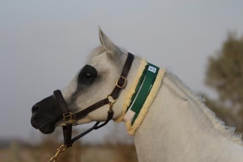 عراقة مذبح فليكرو فرو Throat Wrap with Double Hook...