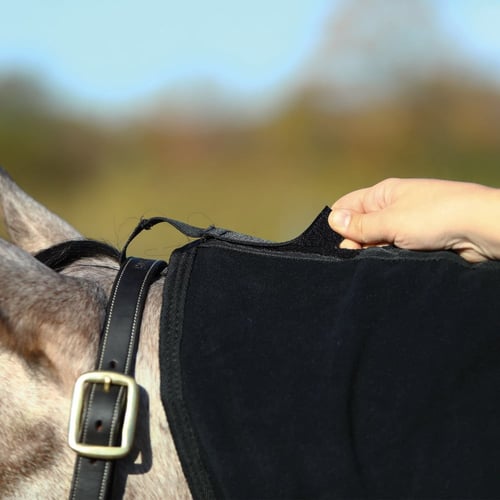 بطانية الصوف لتبريد وتنشيف الخيل Polar Fleece Cool...