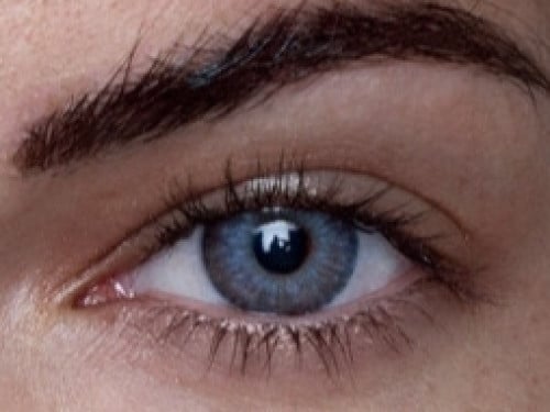 اديكت بلاتينو