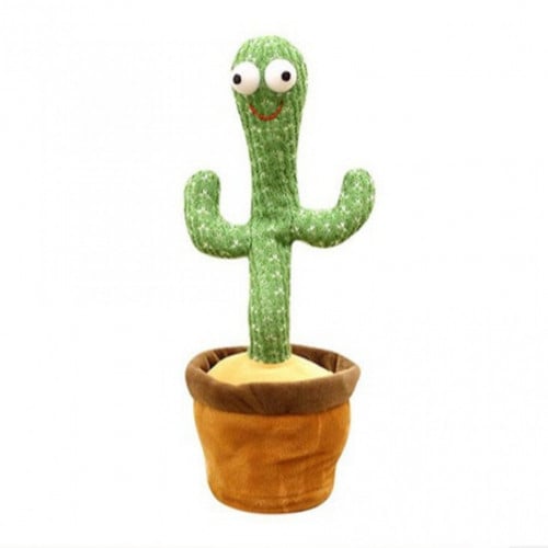 الصبارة الراقصة - ناطقة