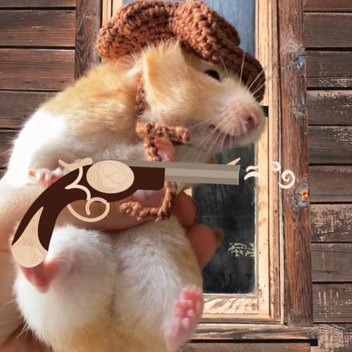 قبعات صغيرة لحيوان الهامستر