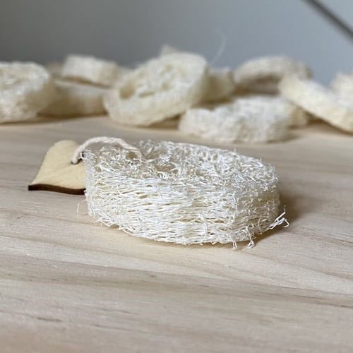 عضاضات لأسنان الهامستر