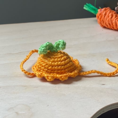 قبعات صغيرة لحيوان الهامستر