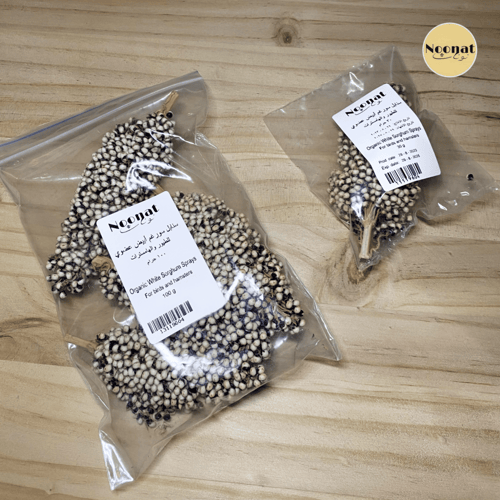 سورغم ابيض عضوي