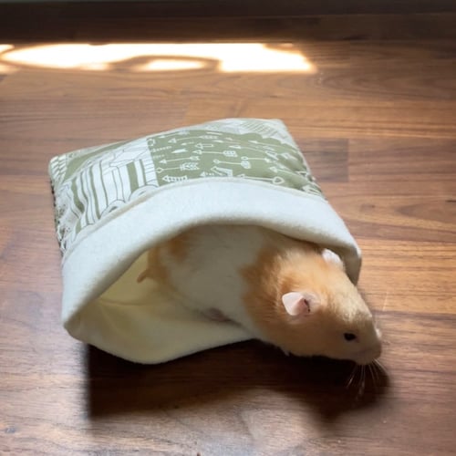 كيس قماشي للحيوانات الصغيرة