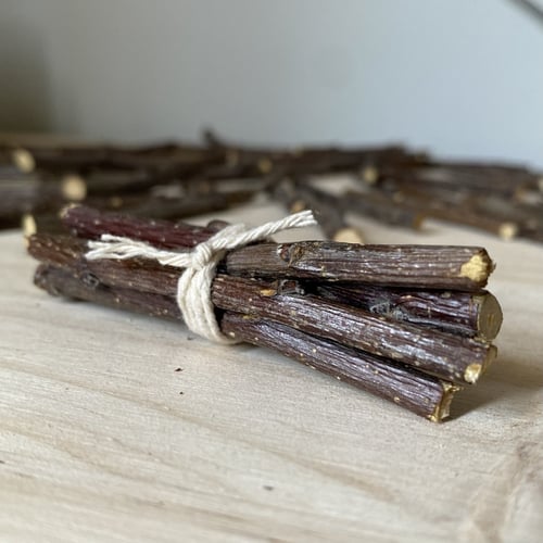 عضاضات لأسنان الهامستر