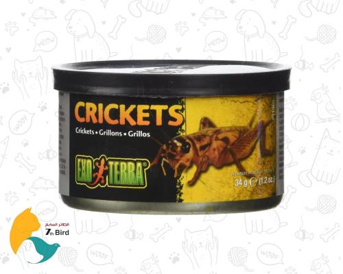 اكسو تيرا طعام معلب للزواحف بالصراصير 34g