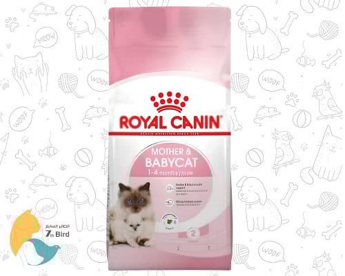 رويال كانن ماذر اند بيبي طعام جاف للقطط