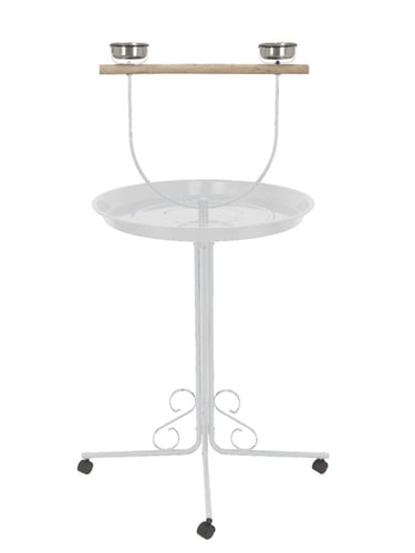 ستاند للطيور والببغاءات متوفر بلون أبيض من سيفن بي...