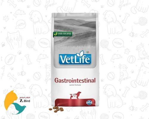 فيت لايف جاسترو انتستينال طعام جاف للكلاب البالغة...
