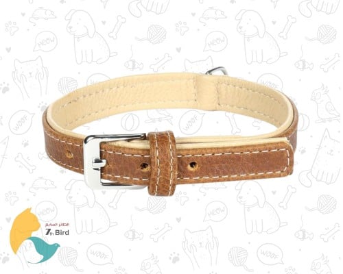 فلامينغو طوق للقطط متين ومختلف