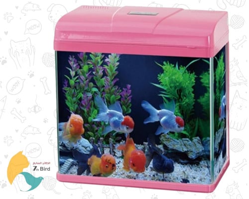 سيفن بيرد حوض اسماك شفاف مع فلتر ومضخة مياه