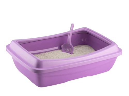 حوض رمل للقطط لون بنفسجي