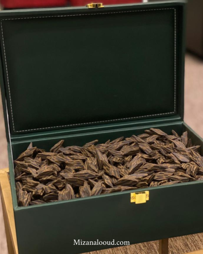 عود تايقر فيتنامي